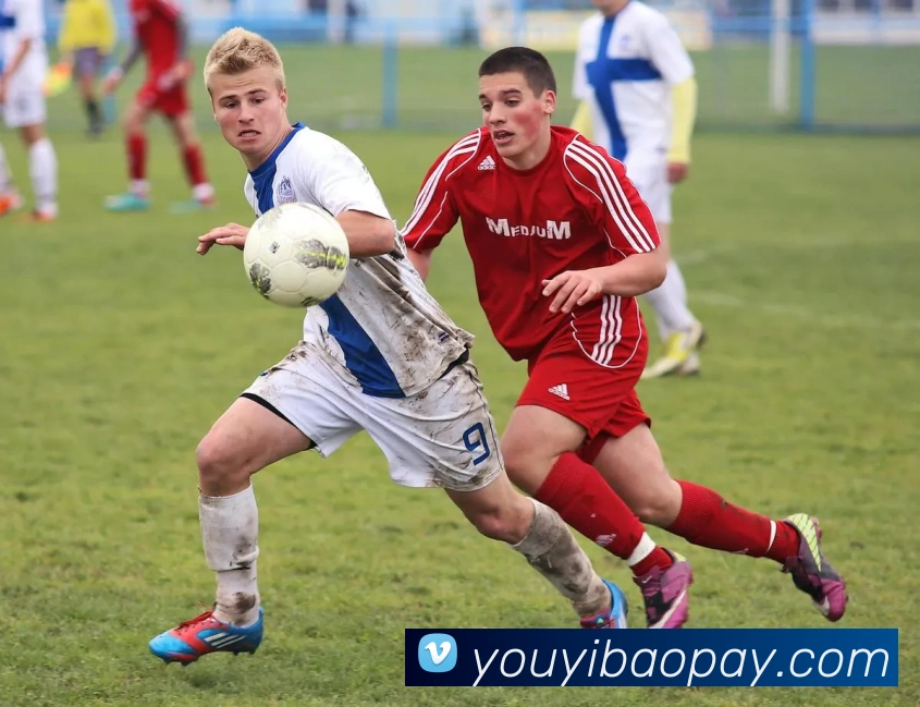 App Interface Preview